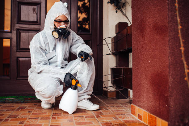 Reliable Cockroach Control contractor in San Antonio, TX by Nex Pest Control